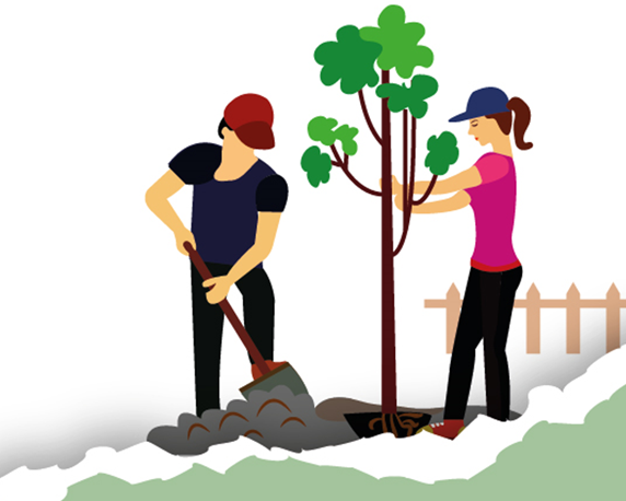 Enlace - Programas de Sensibilización y Voluntariado en los Espacios Naturales Protegidos de Andalucía