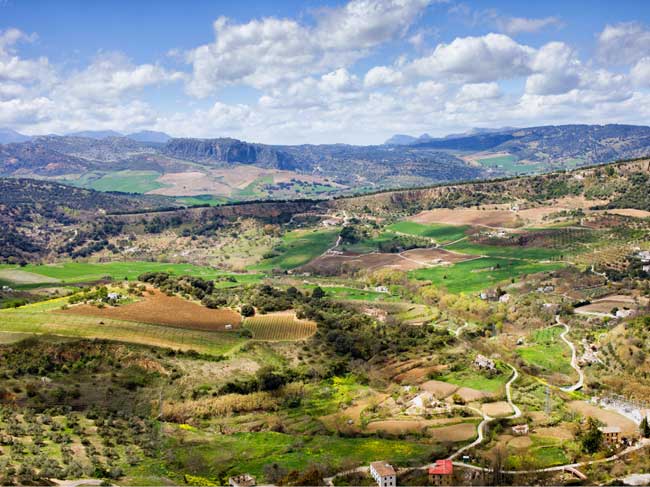 Paisaje de Andalucía. Monte con cultivos y casas dispersas, con elevaciones al fondo