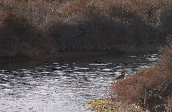 Enlace _Planes Hidrológicos Intercomunitarios