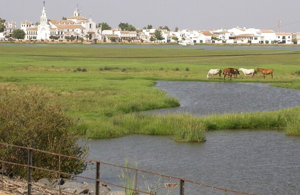 enlace-zonas inundables