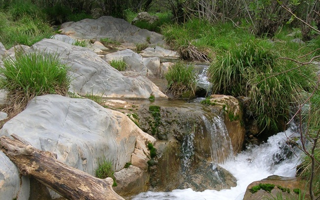 Enlace - Estado/potencial ecológico masas de agua superficial (Polígonos) PHC 2022-2027