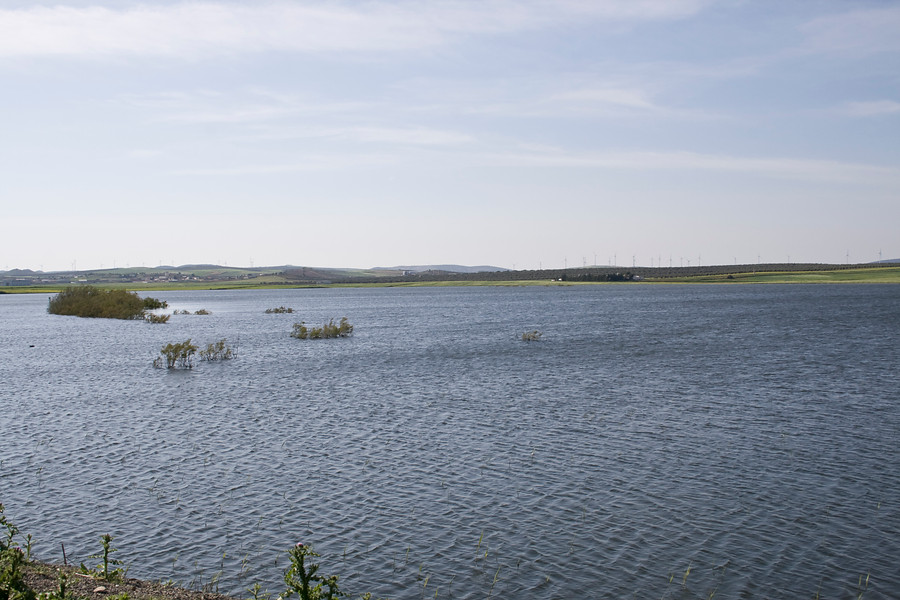 Enlace - PHC 2022-2027. Redes de Seguimiento Aguas superficiales