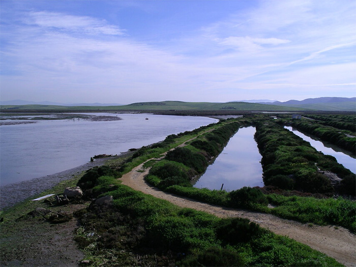 Enlace - Registro de Zonas Protegidas del Guadalete y Barbate (Plan Hidrológico 2022-2027)