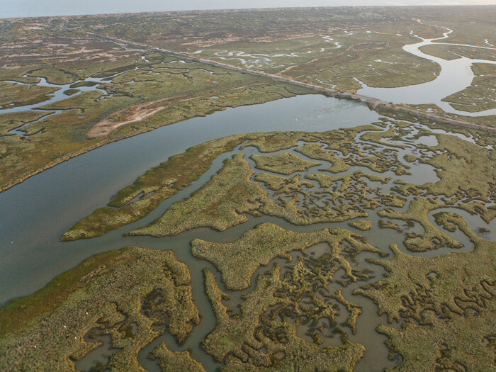 Enlace - Estado de las masas de agua del Plan Hidrológico del Tinto, Odiel y Piedras (2022-2027)