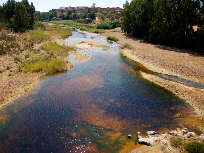 Enlace - Plan Hidrológico del Tinto, Odiel y Piedras (2022-2027)