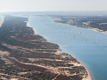 Enlace - Registro de Zonas Protegidas del Tinto, Odiel y Piedras (Plan Hidrológico 2022-2027)