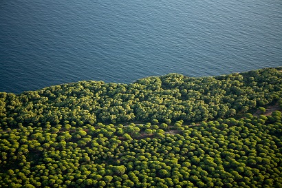 Enlace  Zonificación de las Reservas de la Biosfera de Andalucía