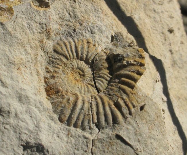 enlace -  Bienes declarados como Patrimonio Mundial por la UNESCO