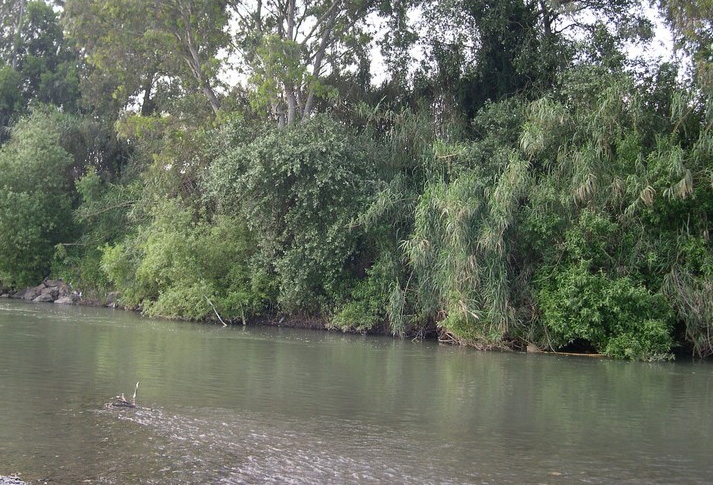 Enlace - Demarcación Hidrográfica de las Cuencas Mediterráneas Andaluzas
