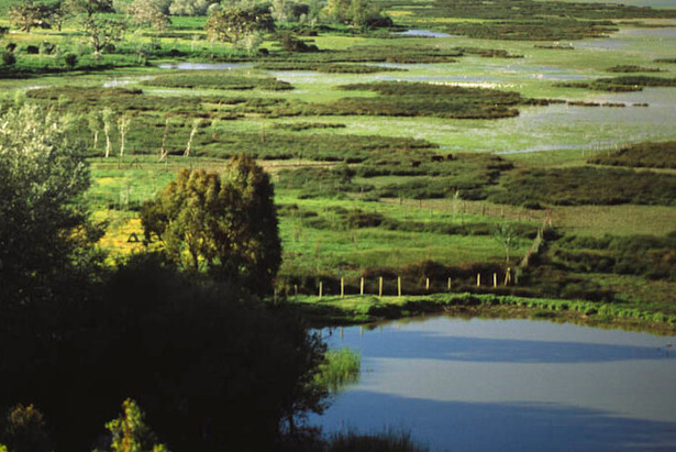 Enlace - PHC 2022-2027. Masas de agua superficial (líneas)
