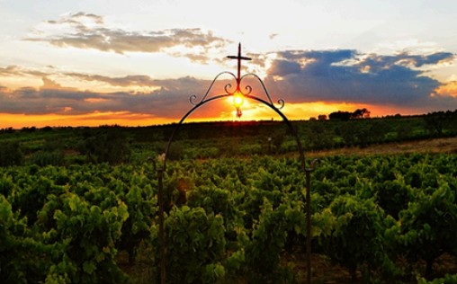 Material divulgativo