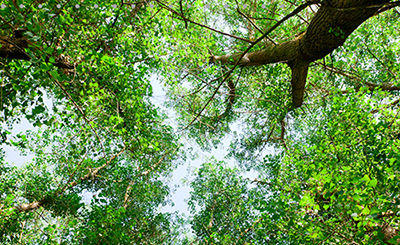 Andalucía avanza en la descarbonización con una caída del 10% de sus emisiones en 2023