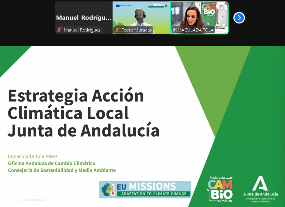 Pradera de pasto marino en una zona costera bajo cielo despejado y agua tranquila