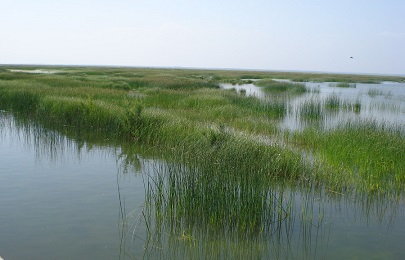 Demarcación Hidrográfica del Guadalquivir