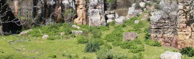 Cantera Honda y patrimonio prehistórico