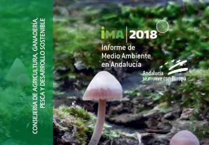 Informe de Medio Ambiente en Andalucía 2018