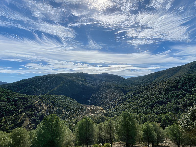 Paisaje de montañas cubiertas de bosque bajo un cielo azul con nubes tenues
