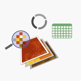 Web Coverage Service (WCS): Servicios de coberturas