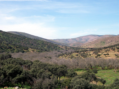 Catálogo de Montes Públicos de Andalucía