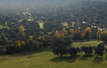 Certificación Forestal