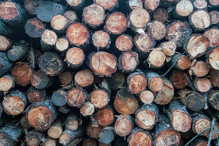 Legalidad de la comercialización de madera y productos de la madera