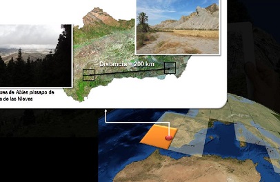Enlace - Elaboración de Escenarios Locales de Cambio Climático de Andalucía