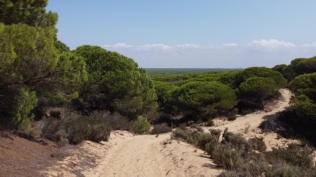 Normativa relacionada marca Parque Natural de Andalucía