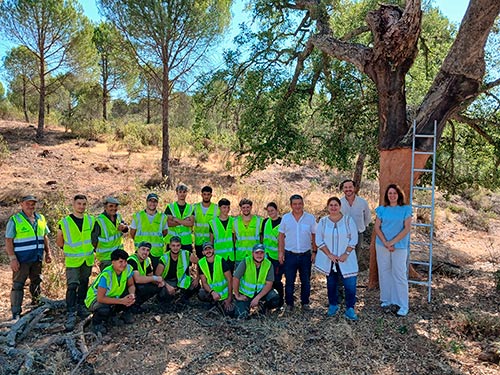 La Junta extrae 215.000 kilos de corcho de alta calidad en el Parque Natural Sierra Morena de Sevilla