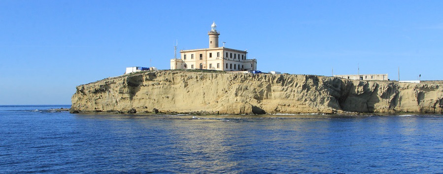 ZEPIM en Andalucía
