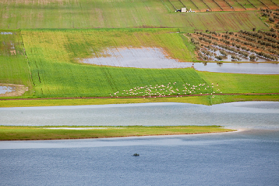 Humedales de Andalucía en la Lista de Ramsar