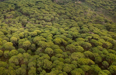 Entidades Colaboradoras en materia de Calidad Ambiental (ECCAs)