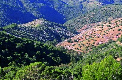 Actividades en el Parque Natural Montes de Málaga