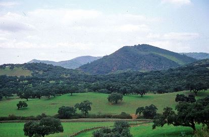 Actividades en el Parque Natural Sierra de Aracena y Picos de Aroche