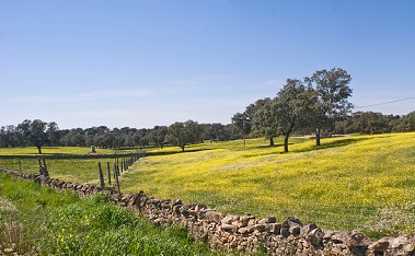 Clima, Cambio Climático