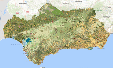 REDIAM. WMS-WFS Mapa de usos y coberturas vegetales del suelo de Andalucía a escala 1:25.000 del año 1984. Nivel detalle