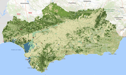 REDIAM. WMS-WFS Mapa de usos y coberturas vegetales del suelo de Andalucía a escala 1:25.000 del año 1956. Nivel reconocimiento