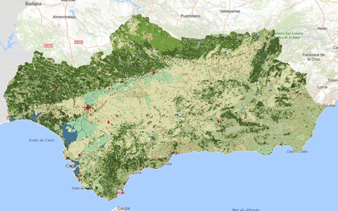REDIAM. WMS-WFS Mapa de usos y coberturas vegetales del suelo de Andalucía a escala 1:25.000 del año 1984. Nivel reconocimiento