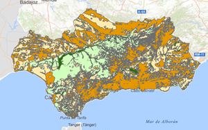 REDIAM. WMS Mapa de Capacidad de Uso del Suelo de Andalucía, año 1996