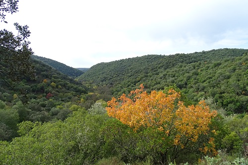 Parque Natural Sierra de Hornachuelos
