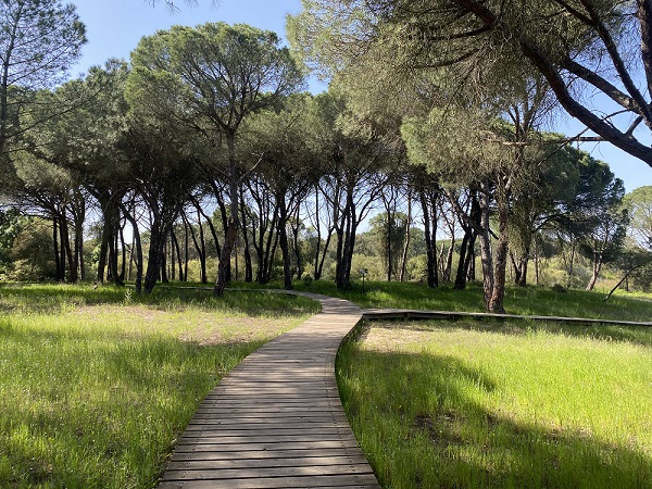 Parque Natural Doñana