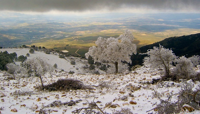 Parque Natural Sierras de Cazorla, Segura y Las Villas