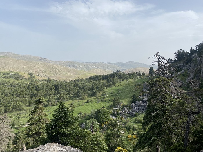 Parque Natural Sierra de las Nieves