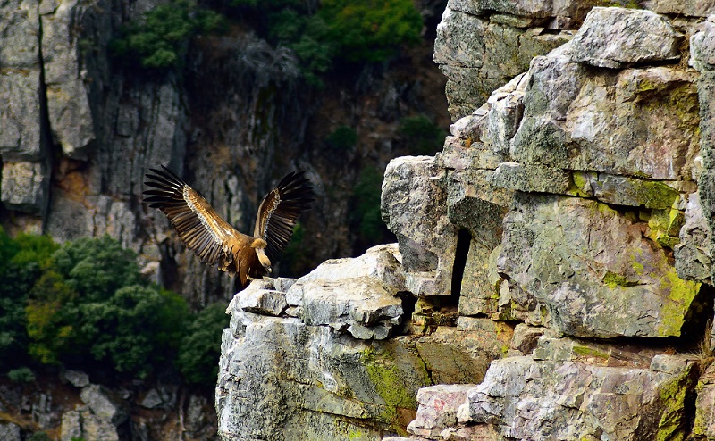 Parque Natural Despeñaperros