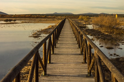 Avances del proyecto