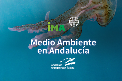 Informe de Medio Ambiente en Andalucía. Edición 2022