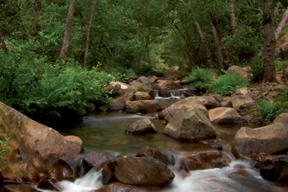 Proyecto IntegraRBIM Desarrollo Integral (agrario, rural, medio ambiental, cultural y turístico)en el ámbito de la Reserva de la Biosfera Intercontinental del Mediterráneo