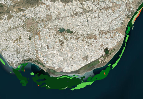 REDIAM. WMS-WFS Distribución de fanerógamas marinas en el litoral de Andalucía