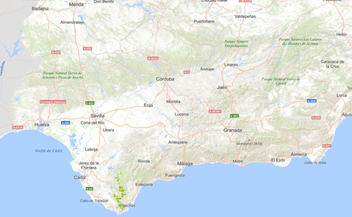 REDIAM. WMS-WFS HIC 92B0 Bosques en galería de ríos con caudal intermitente en la región Mediterránea con Rhododendron ponticum y Betula parvibracteata (+) (Bosques galería de ríos de caudal intermitente mediterráneos con Rhododendron ponticum, Salix y otras)