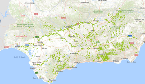 REDIAM. WMS-WFS HIC 92A0 Bosques en galería de Salix alba o de Populus alba