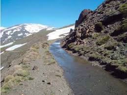 REDIAM. WMS-WFS Proyecto de actualización digitalización y georreferenciación de la red de acequias de careo en el EENNPP de Sierra Nevada 2010